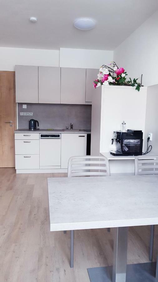 Apartmany Dolni Morava